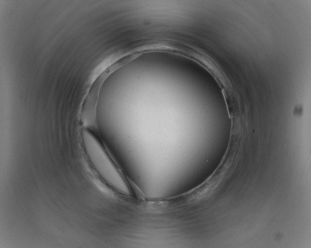 X0000092020858200709271548