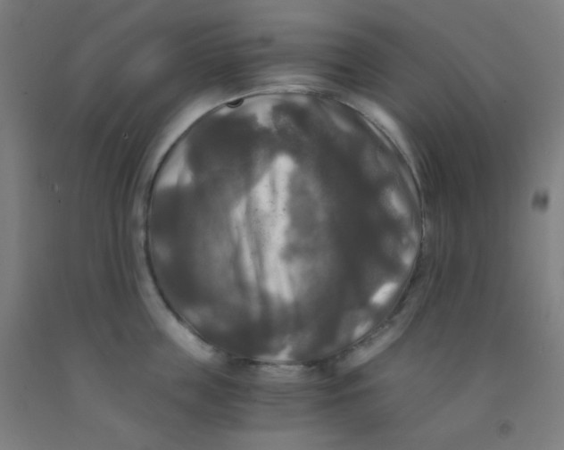 X0000092020859200709271548