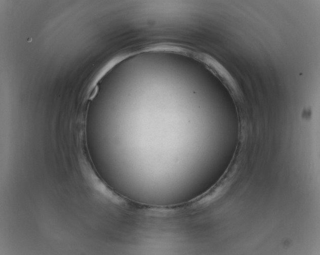 X0000092020860200709271548