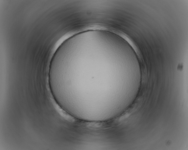 X0000092020861200709271548