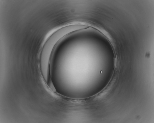 X0000092020862200709271548