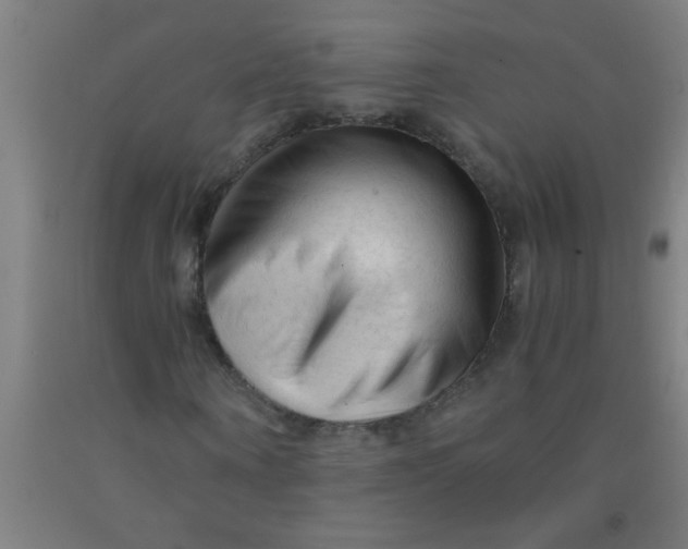 X0000092020866200709271547