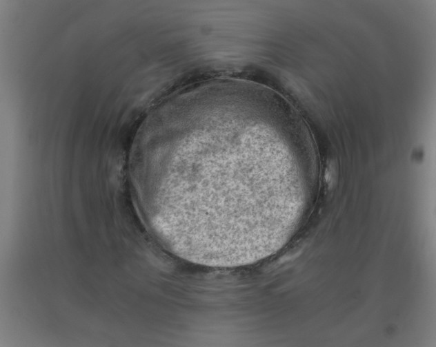 X0000092020867200709271547