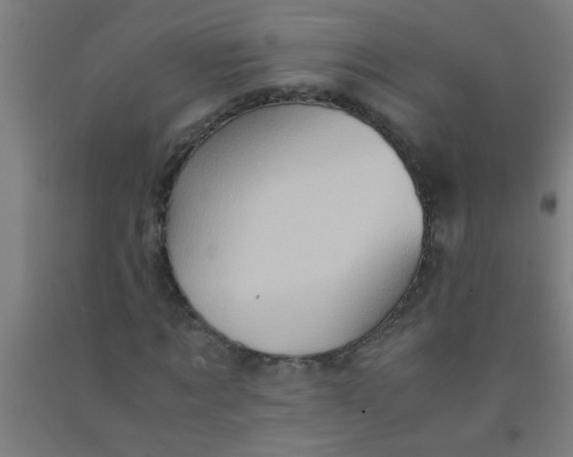 X0000092020869200709271547