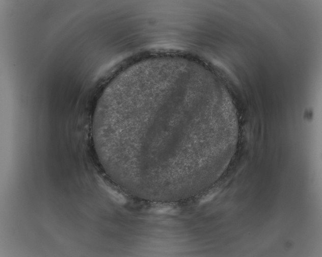 X0000092020870200709271547