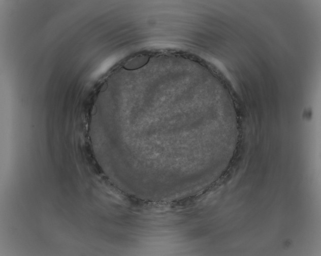 X0000092020871200709271547