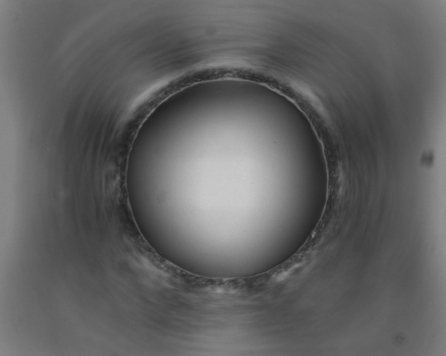 X0000092020872200709271547