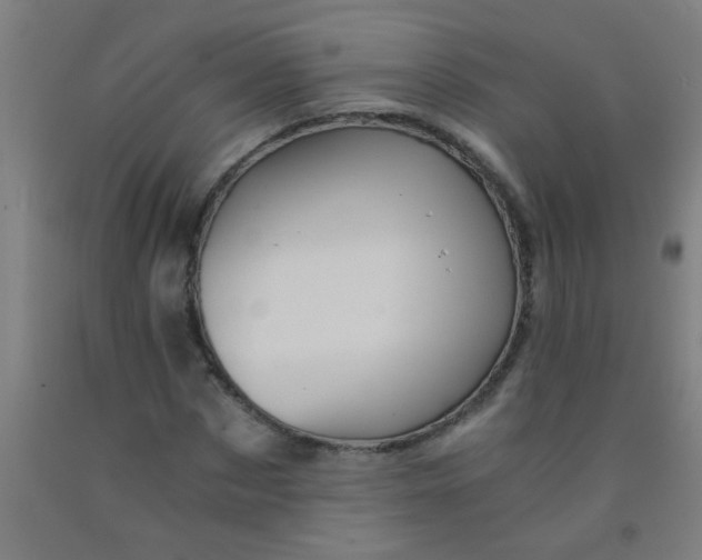 X0000092020873200709271547