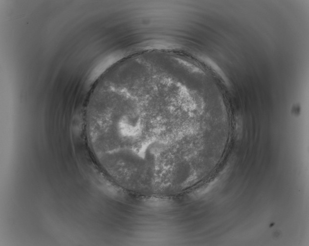 X0000092020874200709271547