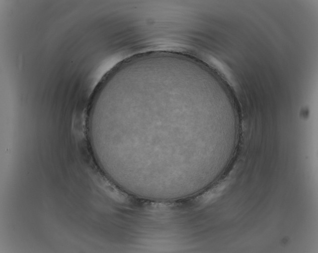 X0000092020875200709271547