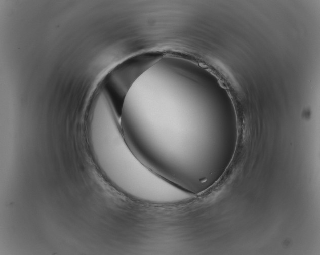 X0000092020876200709271547