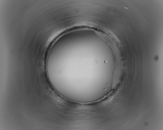 X0000092020877200709271547