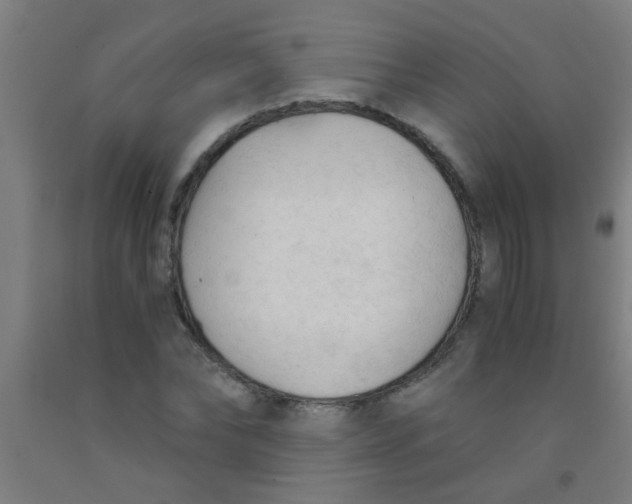 X0000092020878200709271547