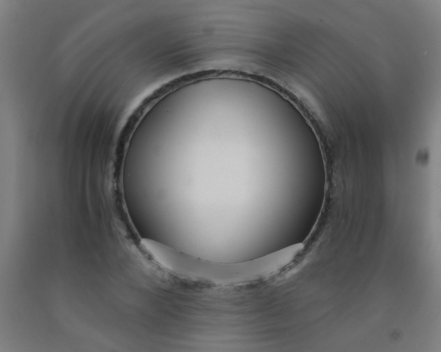 X0000092020880200709271547