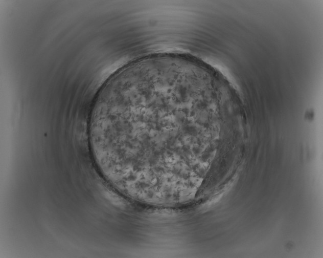 X0000092020881200709271547