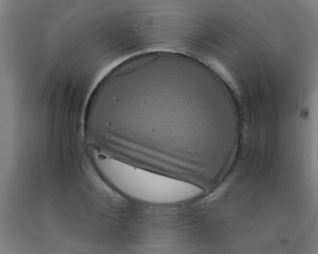 X0000092020884200709271547