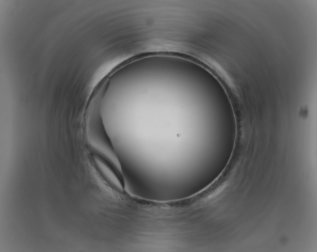 X0000092020885200709271547