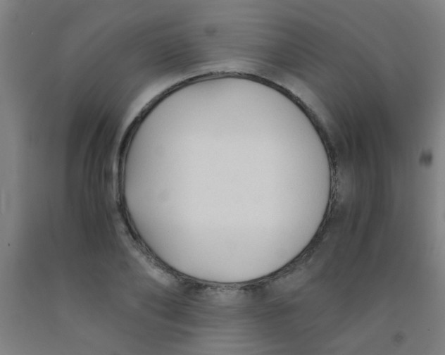 X0000092020886200709271547