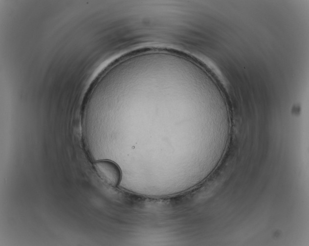 X0000092020887200709271547