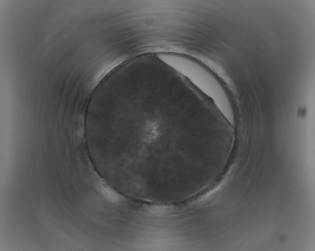 X0000092020889200709271547