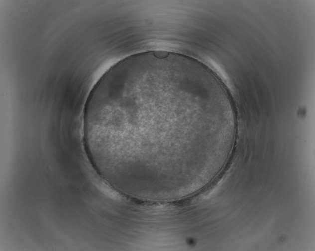 X0000092020891200709271547