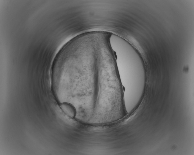 X0000092020892200709271547