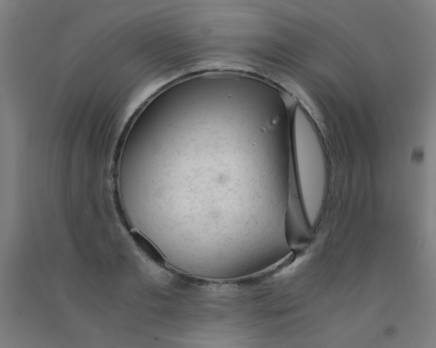 X0000092020893200709271547