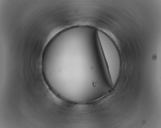 X0000092020894200709271547