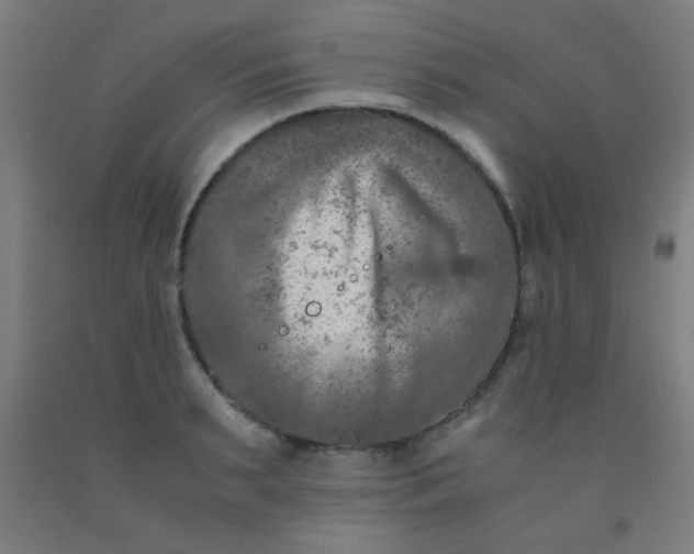 X0000092020895200709271547