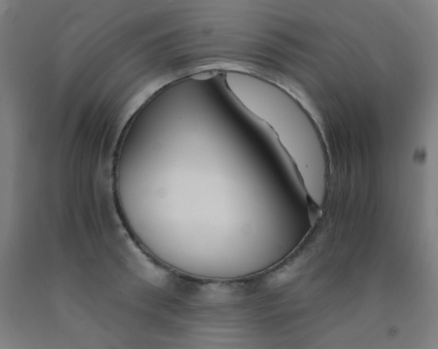 X0000092020898200709271547