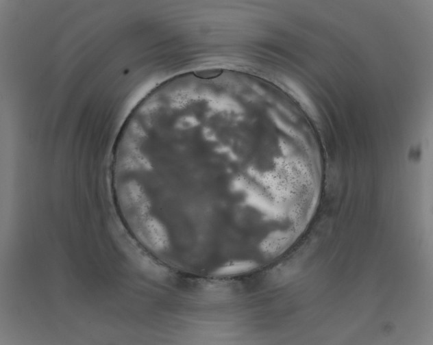 X0000092020899200709271547