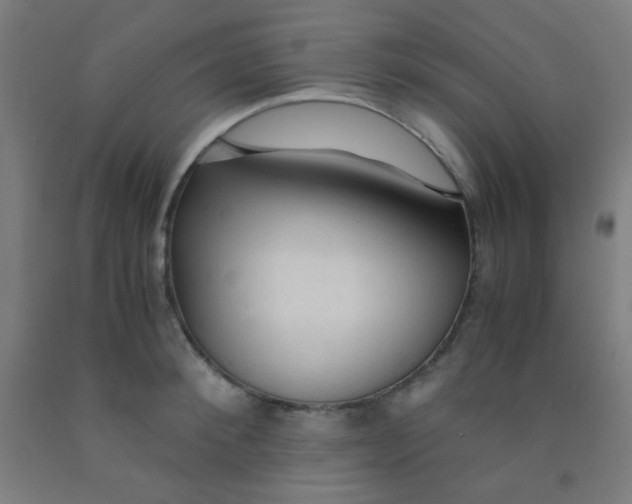 X0000092020900200709271547