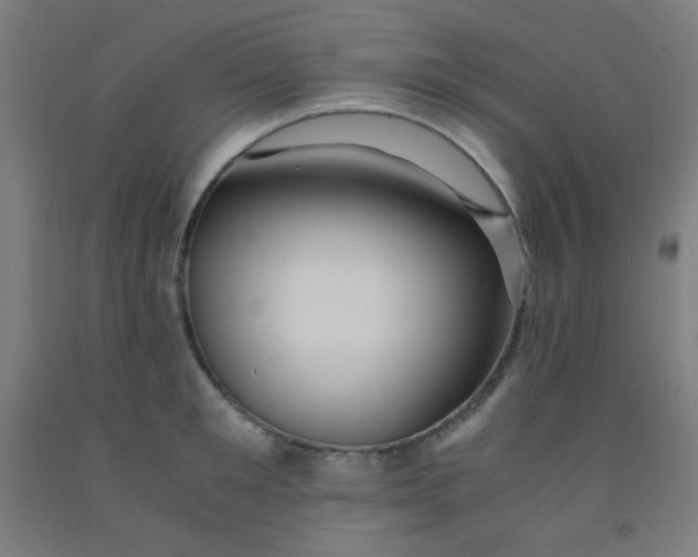 X0000092020901200709271547