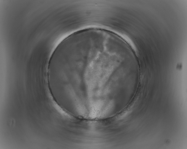 X0000092020903200709271547