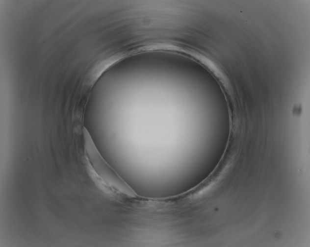 X0000092020905200709271546