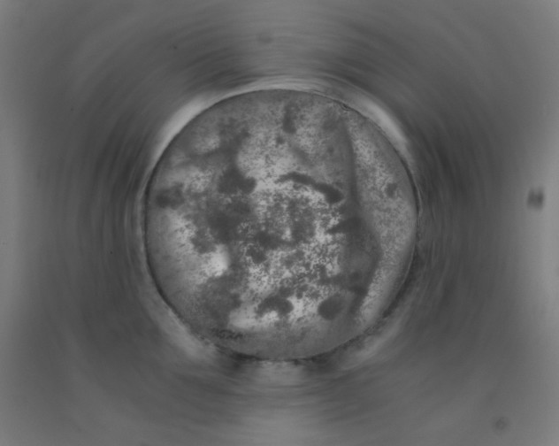 X0000092020907200709271546