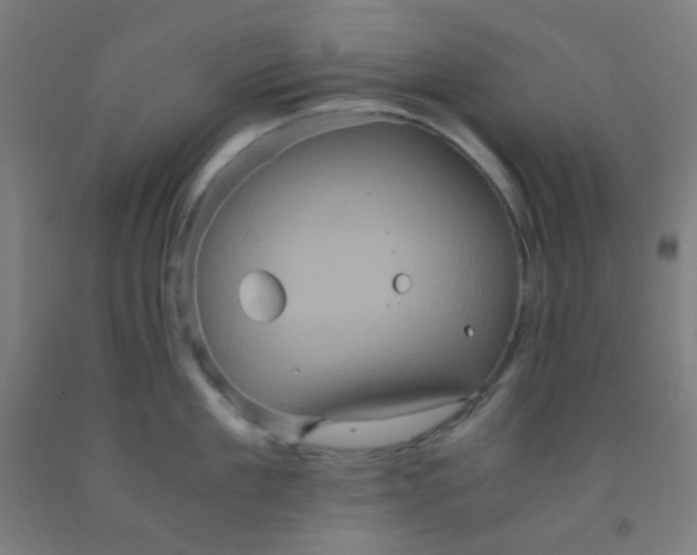 X0000092020909200709271546