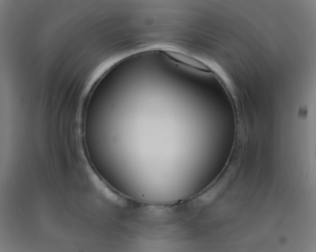 X0000092020910200709271546