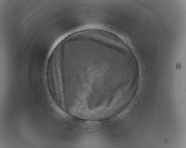 X0000092020912200709271546