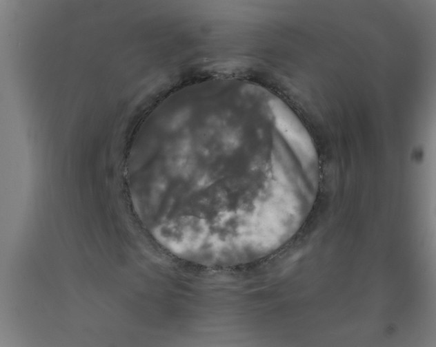 X0000092020913200709271546