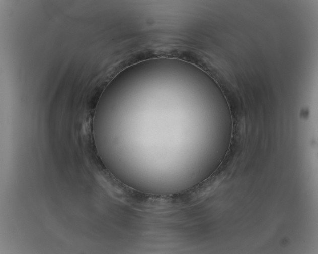 X0000092020914200709271546