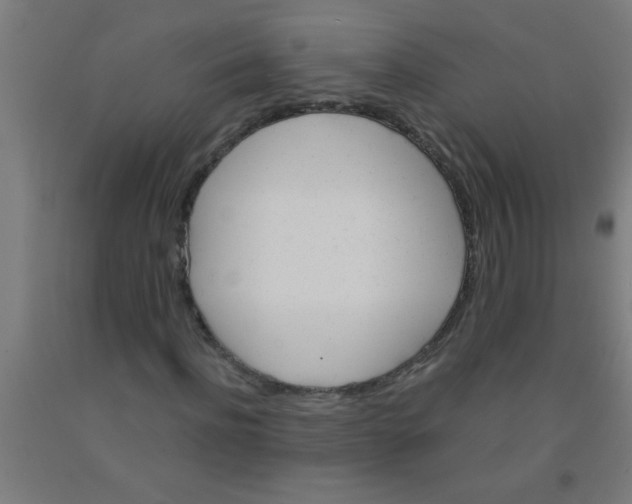 X0000092020916200709271546