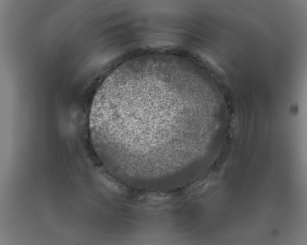 X0000092020917200709271546