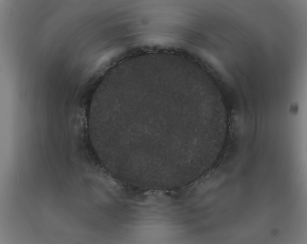 X0000092020918200709271546