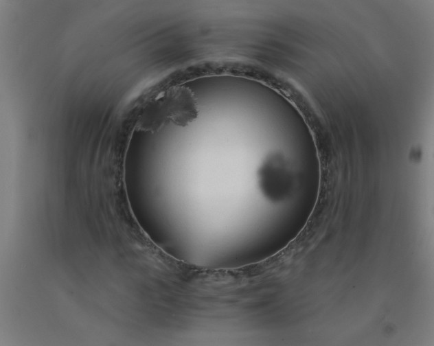 X0000092020919200709271546