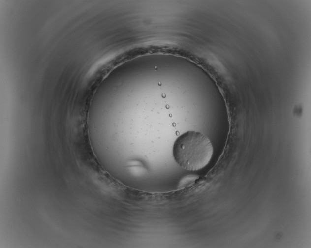 X0000092020920200709271546