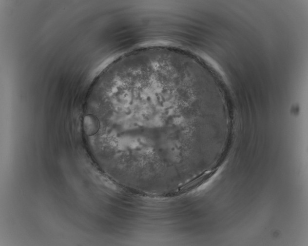 X0000092020921200709271546