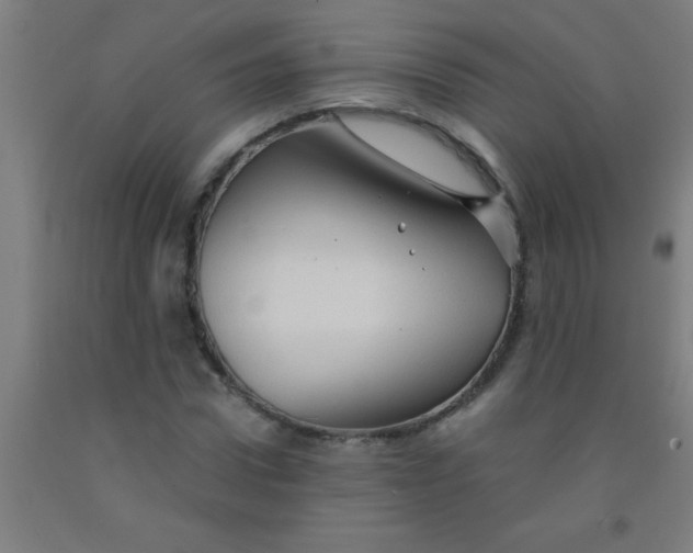 X0000092020922200709271546