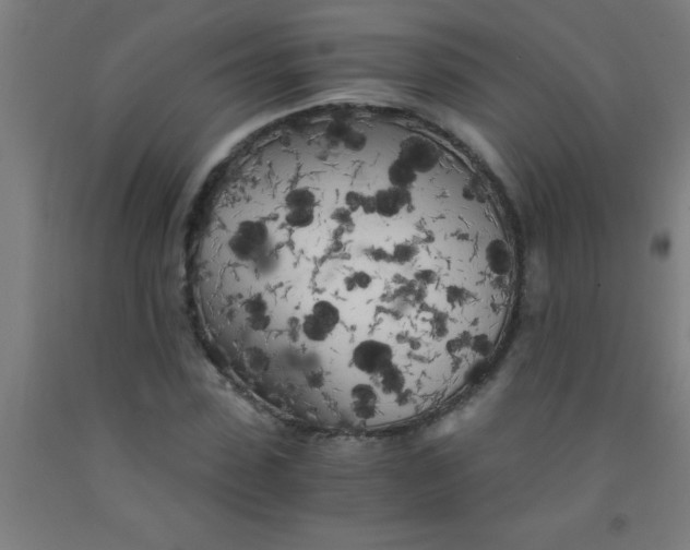 X0000092020923200709271546