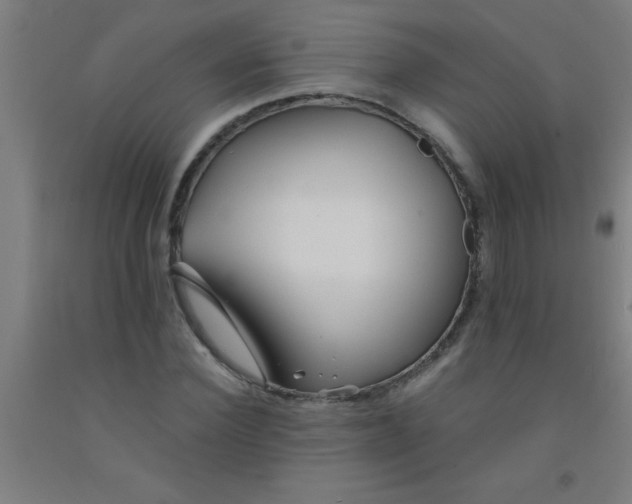 X0000092020924200709271546